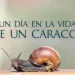 Descubre los Movimientos Vitales en Morfopsicología a Través de la Historia de un Caracol