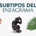 Subtipos del Eneagrama