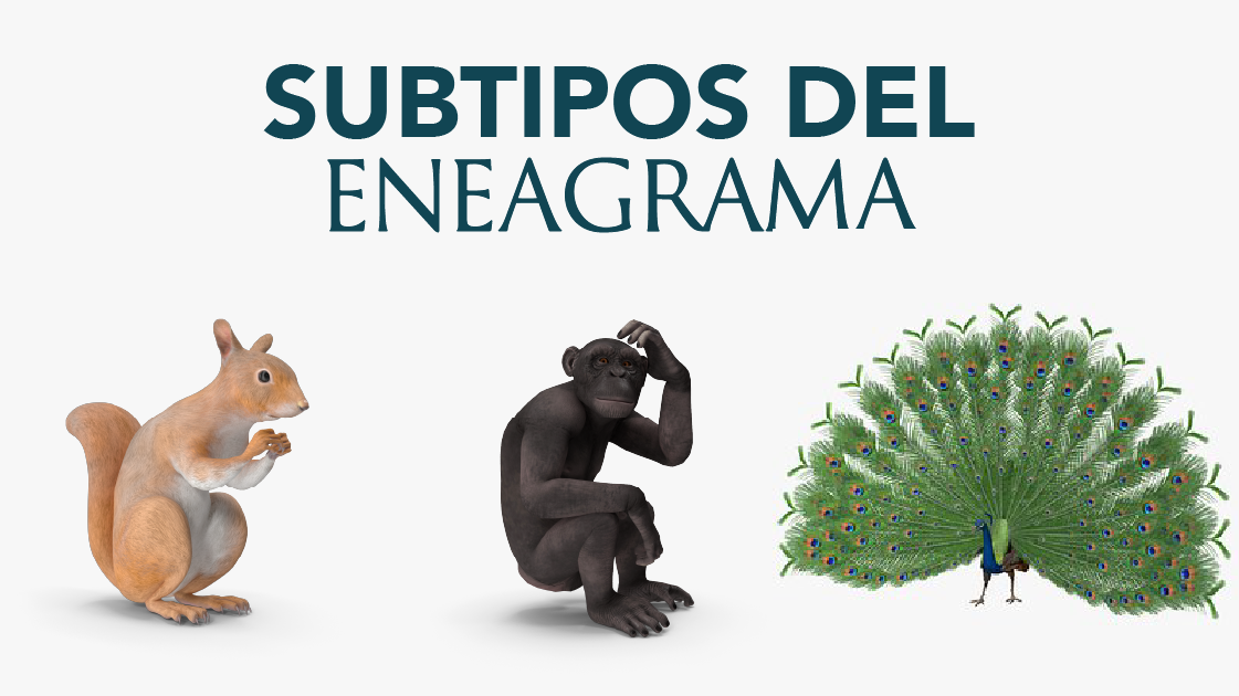 Subtipos